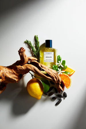 Avalon Cologne displayed with wood citrus and herbs